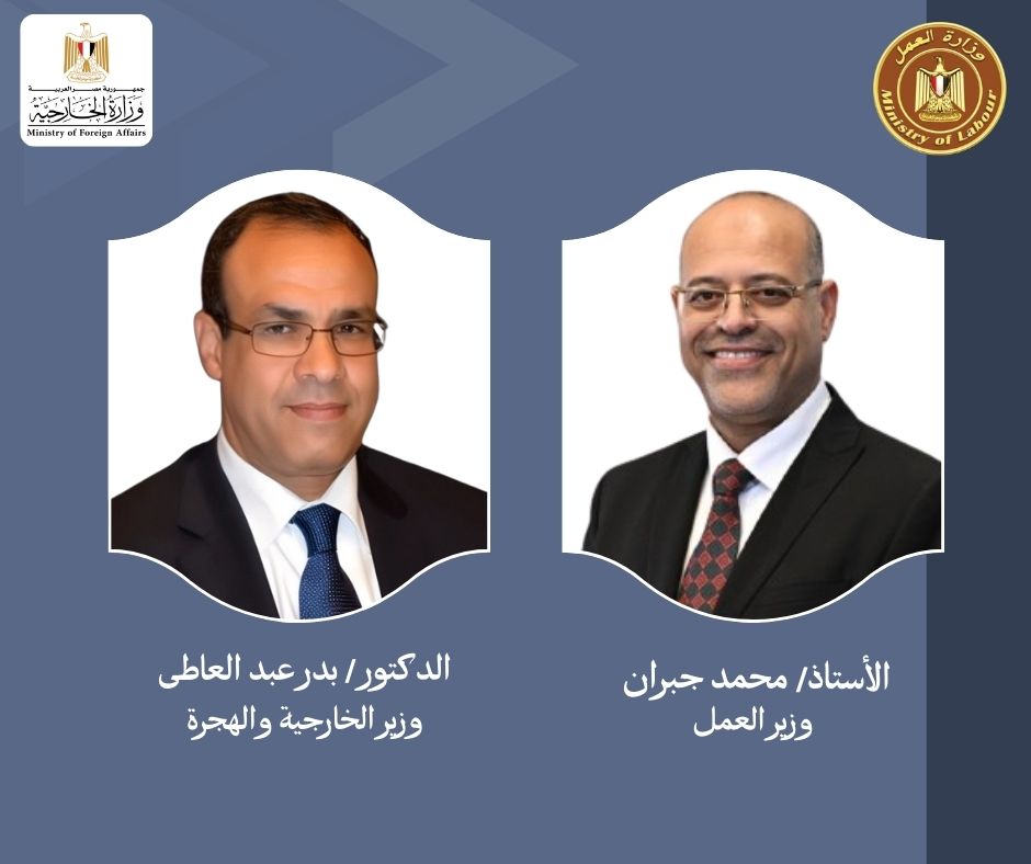 وزير القوى العامله 
